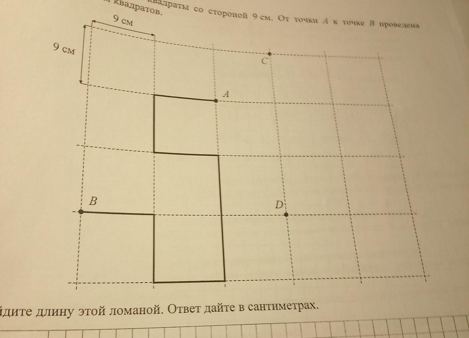 Лист бумаги расчерчен на прямоугольники со сторонами