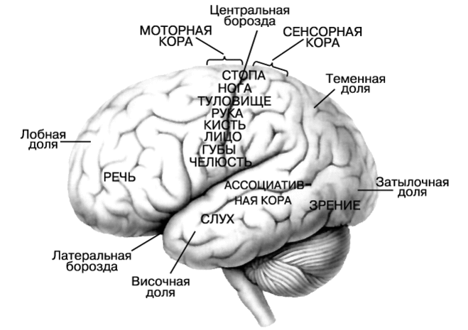 текст при наведении