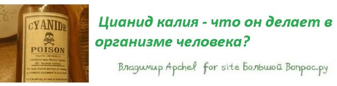 Цианид калия - что он делает в организме человека?