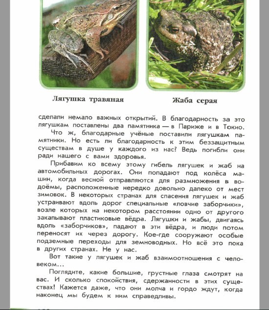 Похожие но разные. Книга зеленые страницы про лягушек и жаб.