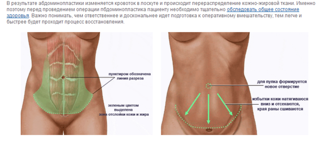 текст при наведении