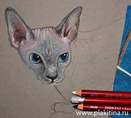 как нарисовать кошку, как нарисовать кота поэтапно http://www.bolshoyvo­<wbr/>pros.ru