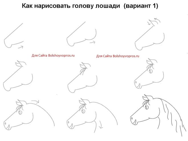 текст при наведении