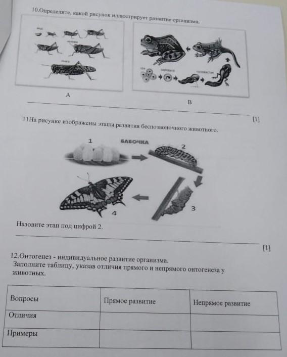 На рисунке изображены этапы развития земноводного назовите этапы под цифрой 1 и 6 1