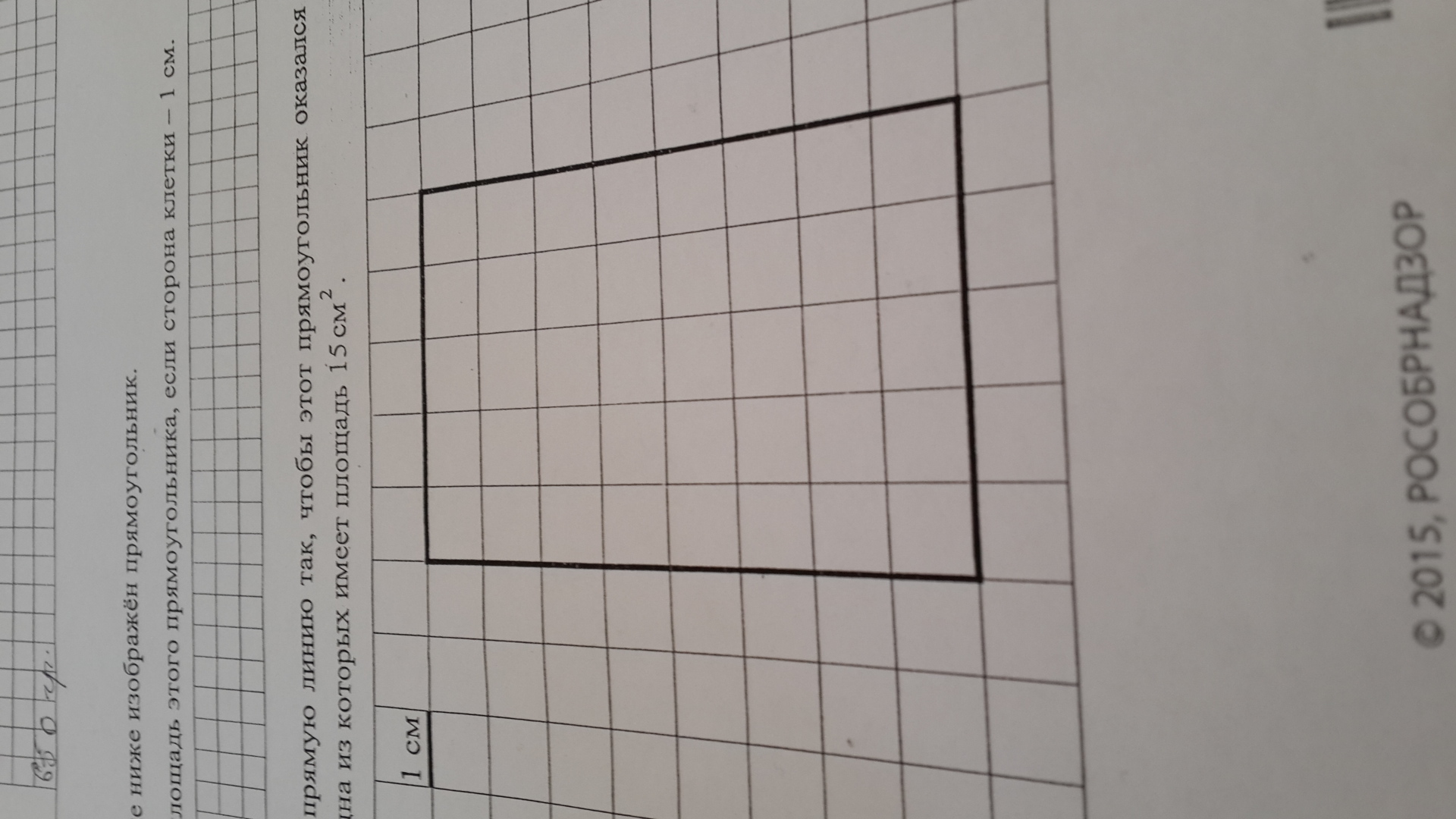 На бумаге в клетку нарисовали прямоугольник длина стороны клетки 5 условных единиц