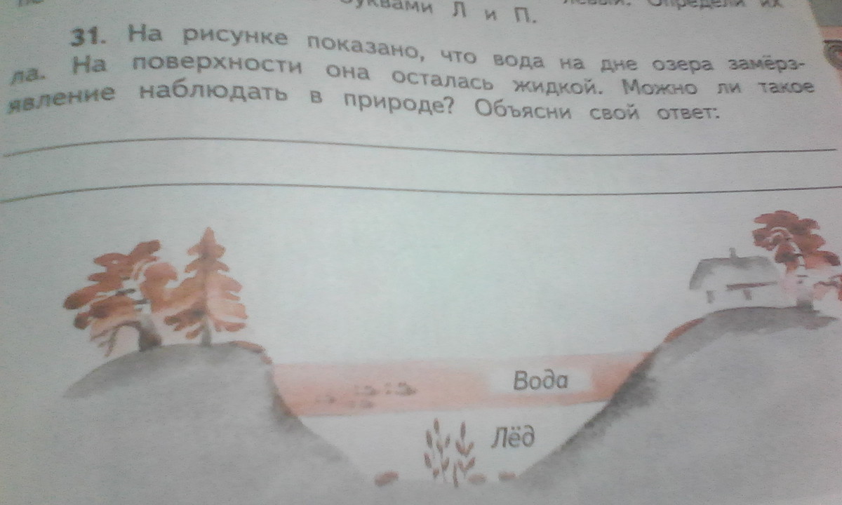 Объясните свой ответ. На рисунке показано что вода на дне озера замерзла на поверхности. На рисунке показано что вода на дне озера. Вода на дне озера замерзла ,а на поверхности нет. Почему озера не промерзают до дна зимой.