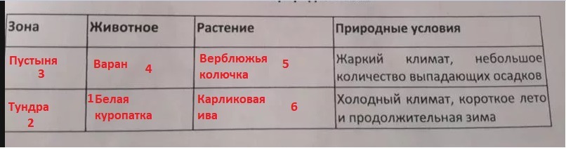 Заполните пропуски ниже. Заполните прлпуск в таблице природные зоны. Заполните пропуски в таблице природные зоны. Запишите в пропуски в таблице природные зоны. Заполни пропуски в таблице природные зоны животные зона растения.