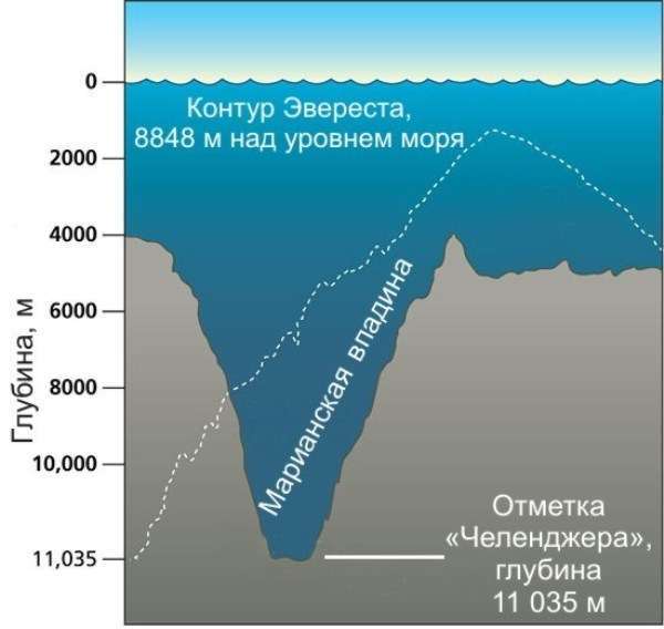 текст при наведении