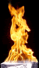 пламя огня живая картинка, почему огонь живой