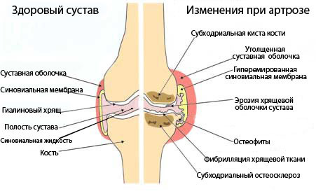 текст при наведении