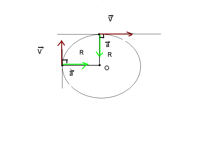 Центростремительное ускорение рисунок. Рисунок направления скорости и ускорения при движении по окружности. Ускорение при движении по окружности рисунок. Центростремительное ускорение перпендикулярно скорости.