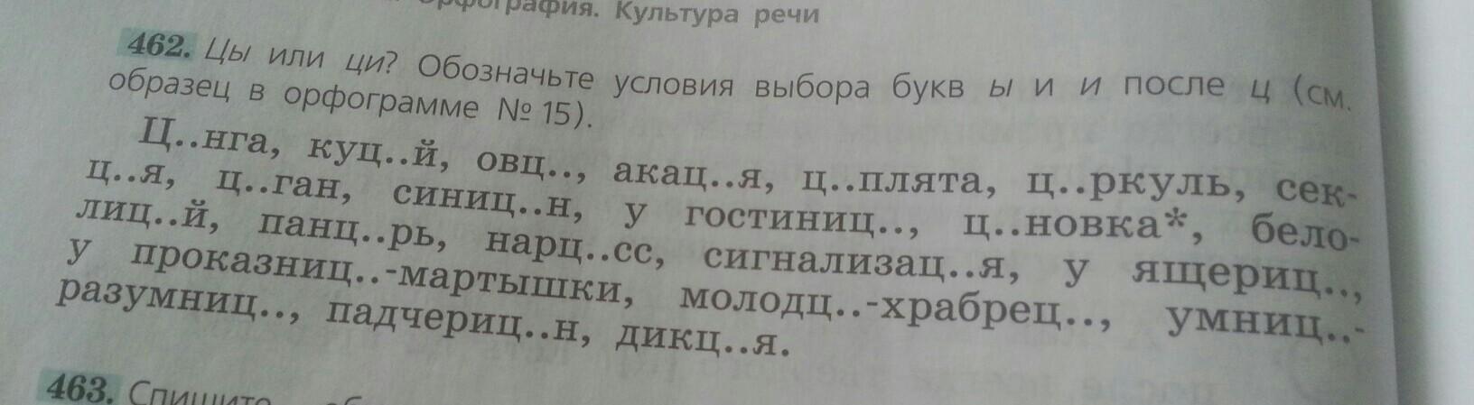 Условия выбора букв. Цы или Ци обозначьте условия выбора букв и и ы. Цы или Ци обозначьте условия выбора. Цы или Ци обозначьте условия выбора букв ы и и после ц. Ции или ции обозначьте условия выбора букв и и и после ц.