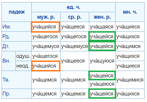 Родов как пишется. Учащейся или учащийся. Обучающийся в женском роде. Учащейся как правильно. Учащихся как пишется.