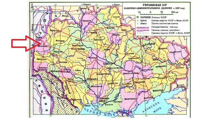 текст при наведении