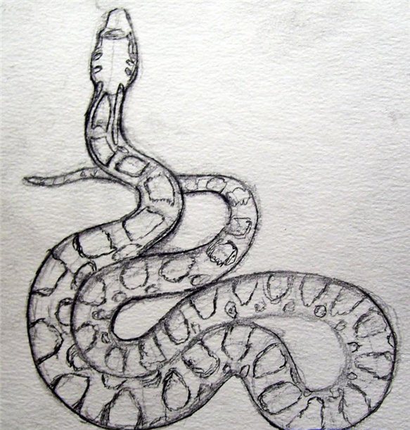 рисуем змею 3