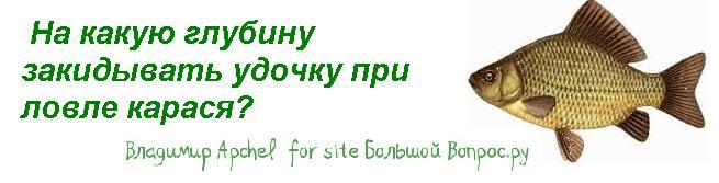 На какую глубину закидывать удочку при ловле карася?