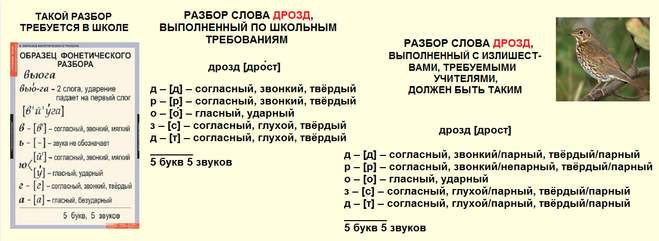 Разбор слова дрозд 3 класс звуко буквенный