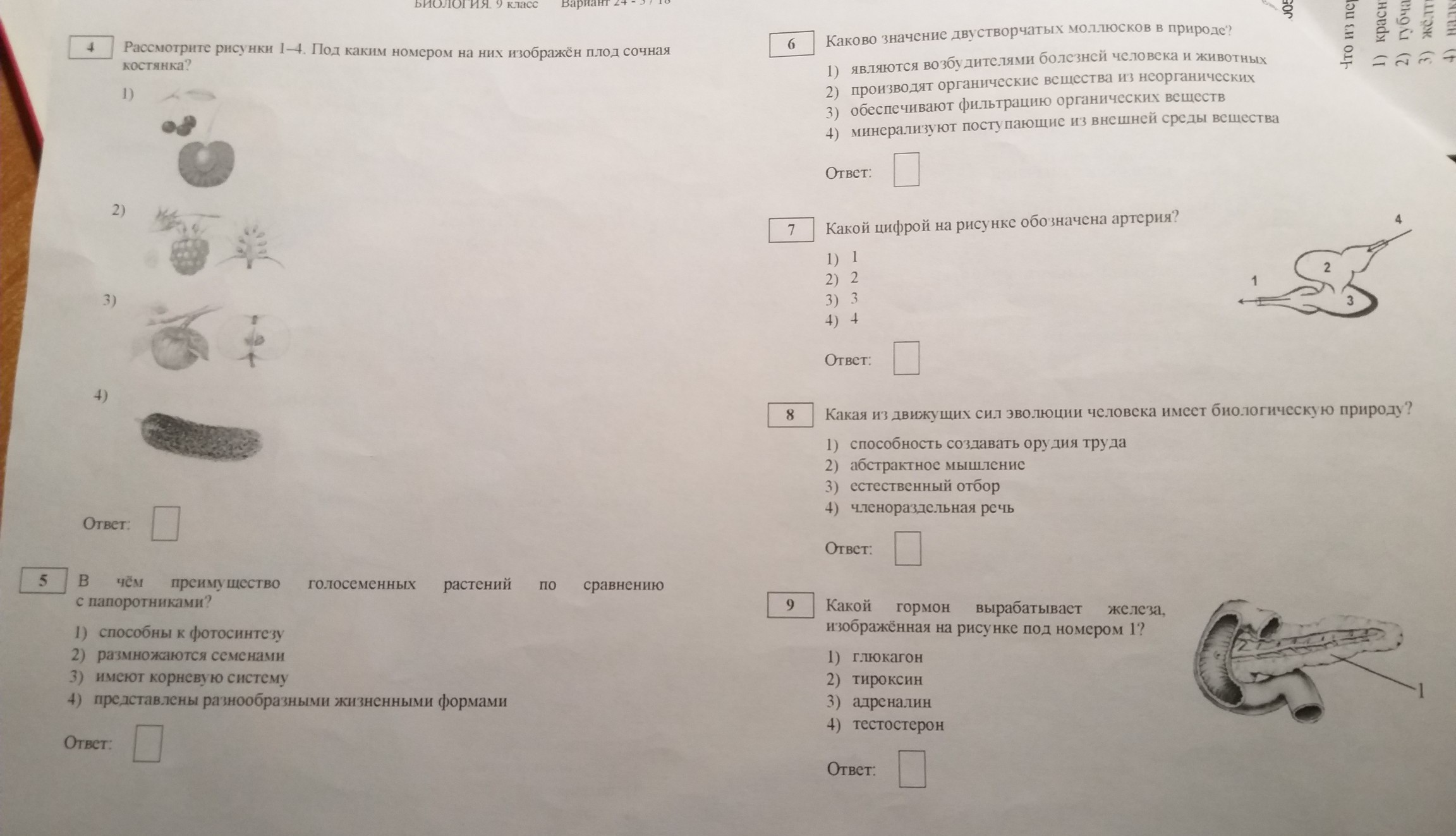 Под цифрой 7 на рисунке изображен