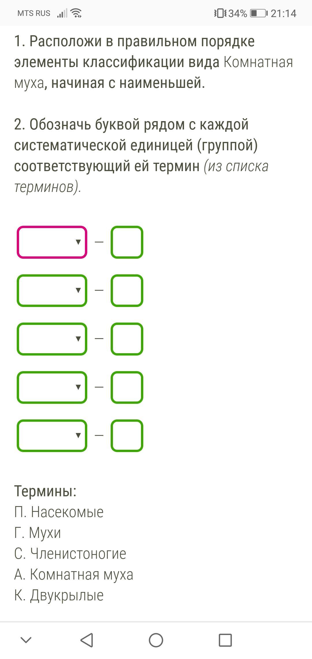Расположите в правильном порядке элементы. В правильном порядке элементы классификации вида. Расположи в правильном порядке элементы классификации. Классификация вида комнатная Муха начиная с Наименьшей. Расположить элементы списка в правильном порядки.