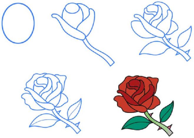 как нарисовать розу 4