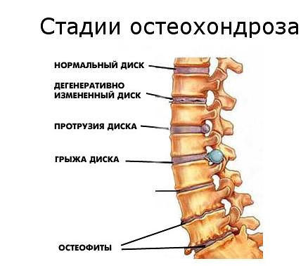 текст при наведении