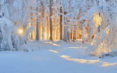 Доброе зимнее утро!