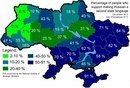 текст при наведении