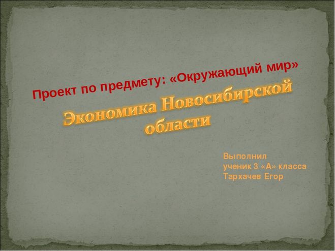 Проект Экономика родного края Новосибирская область 3 класс