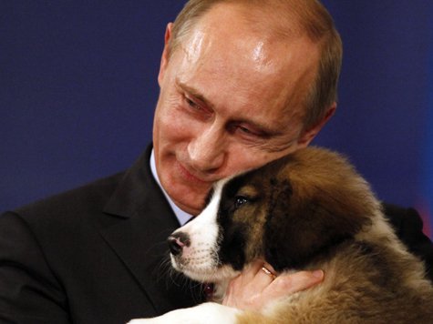 Баффи; собака Путина