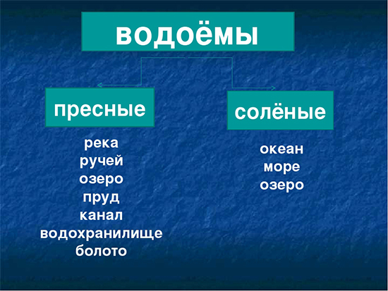 Почему надо беречь водоемы и реки (3 класс, доклад)?