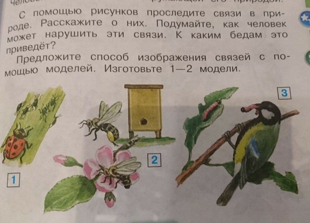 С помощью рисунка