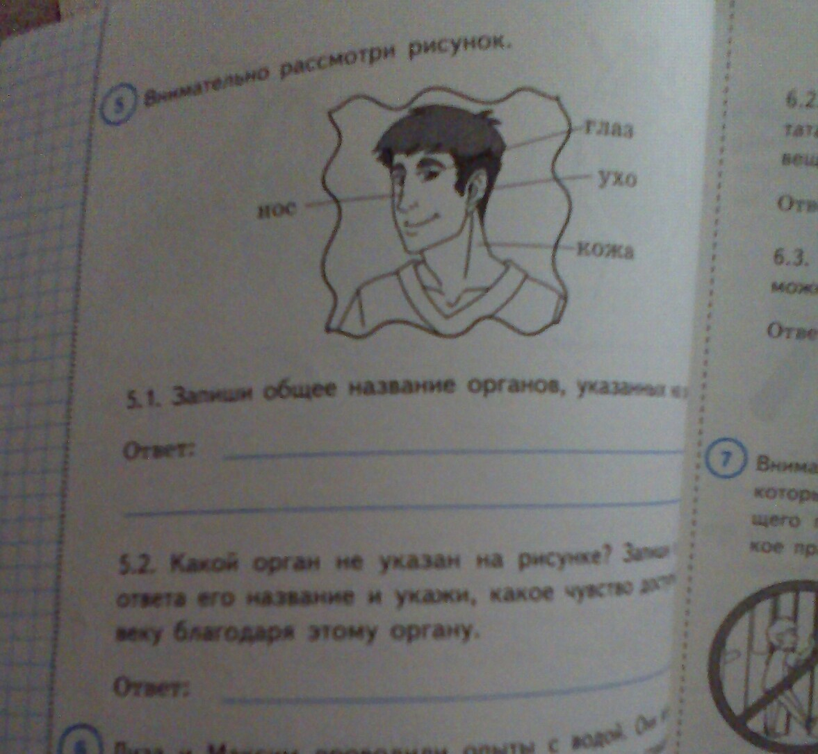 Запиши в строке ответа какое. Запиши общее названия органов. Запиши общее название органов указанных. Общее название органов указанных на рисунке. Запиши общее название органов указанных на рисунке.