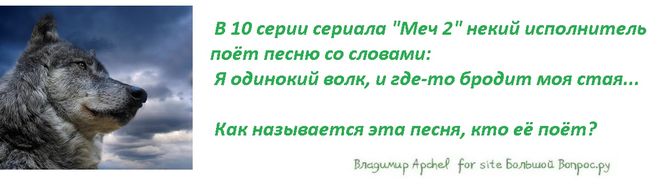 Я одинокий волк где моя стая. Я одинокий волк и где то бродит моя стая. Одинокий бродящий волк. Я одинокий волк и где то. Стая моя стихи.