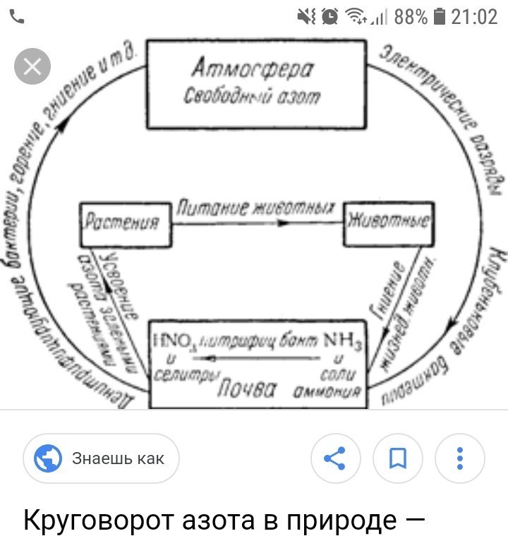 Круговорот азота в природе схема. Геохимический круговорот азота. Круговорот атмосферного азота в природе схема. Круговорот азота в природе атмосфера схема. Изобразите схематично круговорот азота в природе.