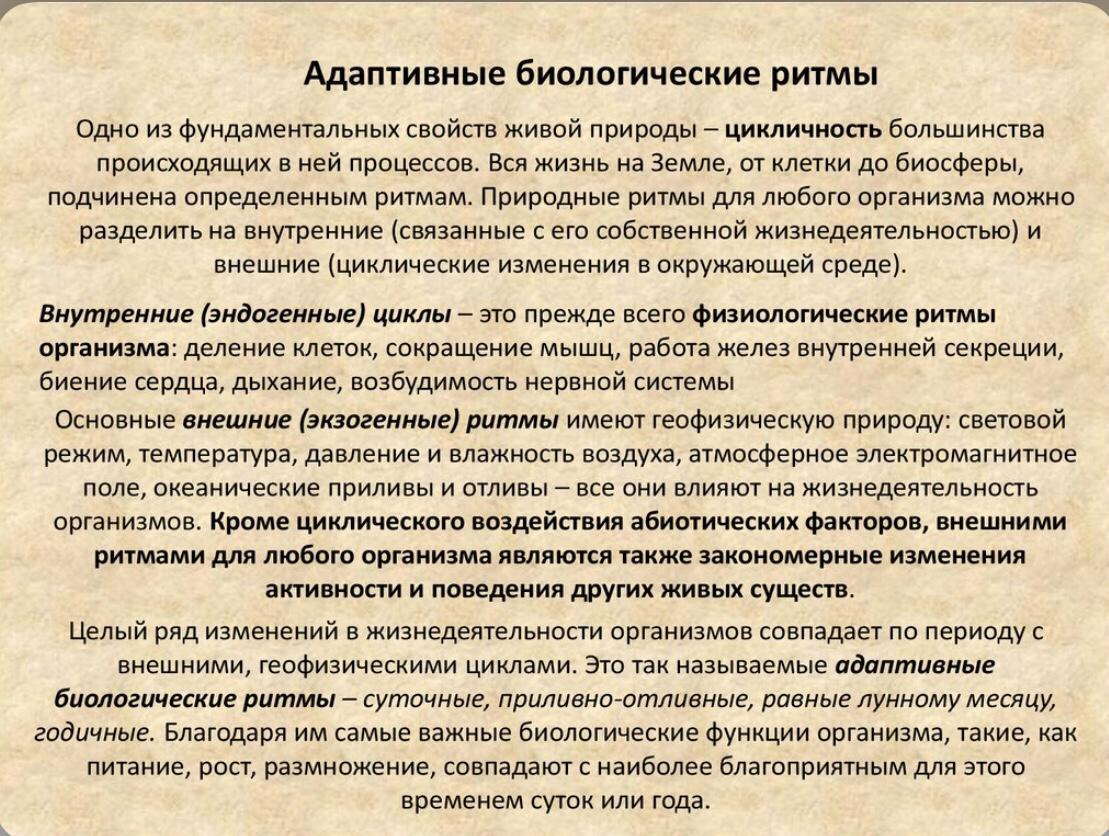 Биологический ли человек. Адаптивные биологические ритмы. Адаптивные биологические ритмы их классификация. Адаптивная роль биоритмов. Адаптивные биологические ритмы примеры.