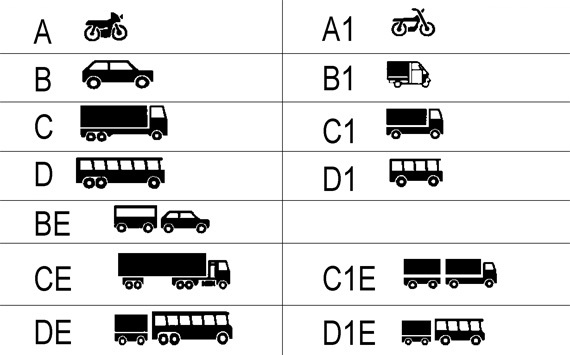 категории водительских прав