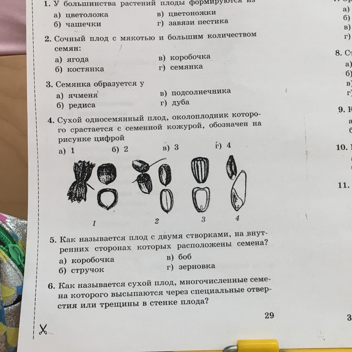 Тесты по биологии 6 класс к учебнику Пономаревой с ответами