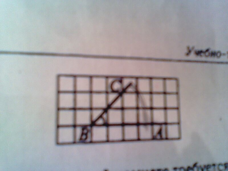 На клетчатой бумаге изображен авс. Чему равен угол АБС изображенный на клетчатой бумаге. На клеточной бумаге с размером клетки 1 см изображено ABC. Накричали бумаги с размером клетки 1 на 1 изображен точки b. На клетчатой бумаге с размером клетки 1 на 1 изображен угол в круге.