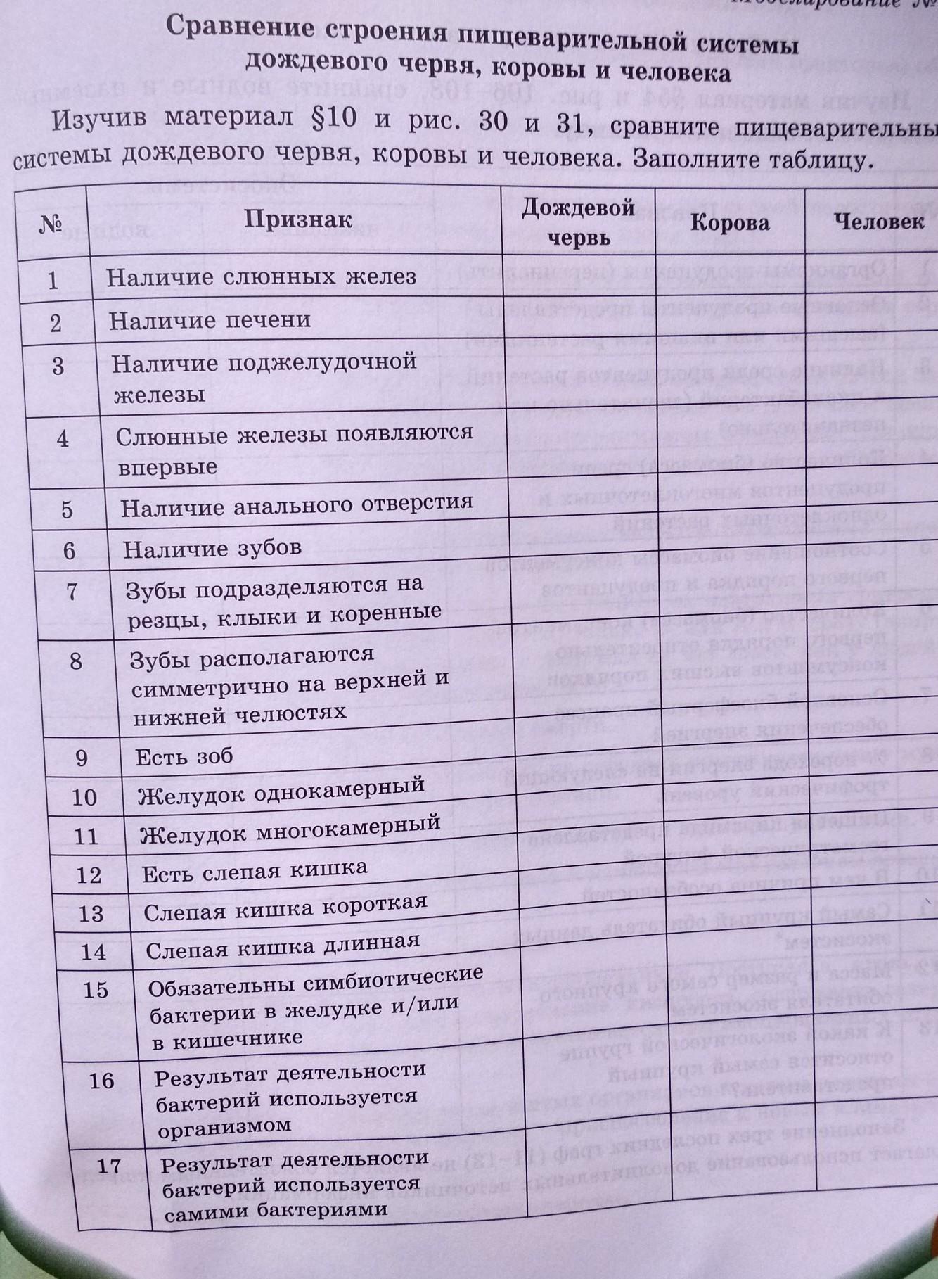 Изучив текст параграфа и рисунок 51 заполните таблицу соцветия 6 класс биология