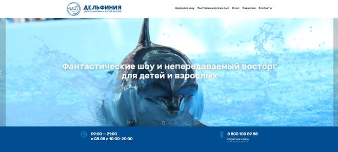 Дельфиния Новосибирск цены