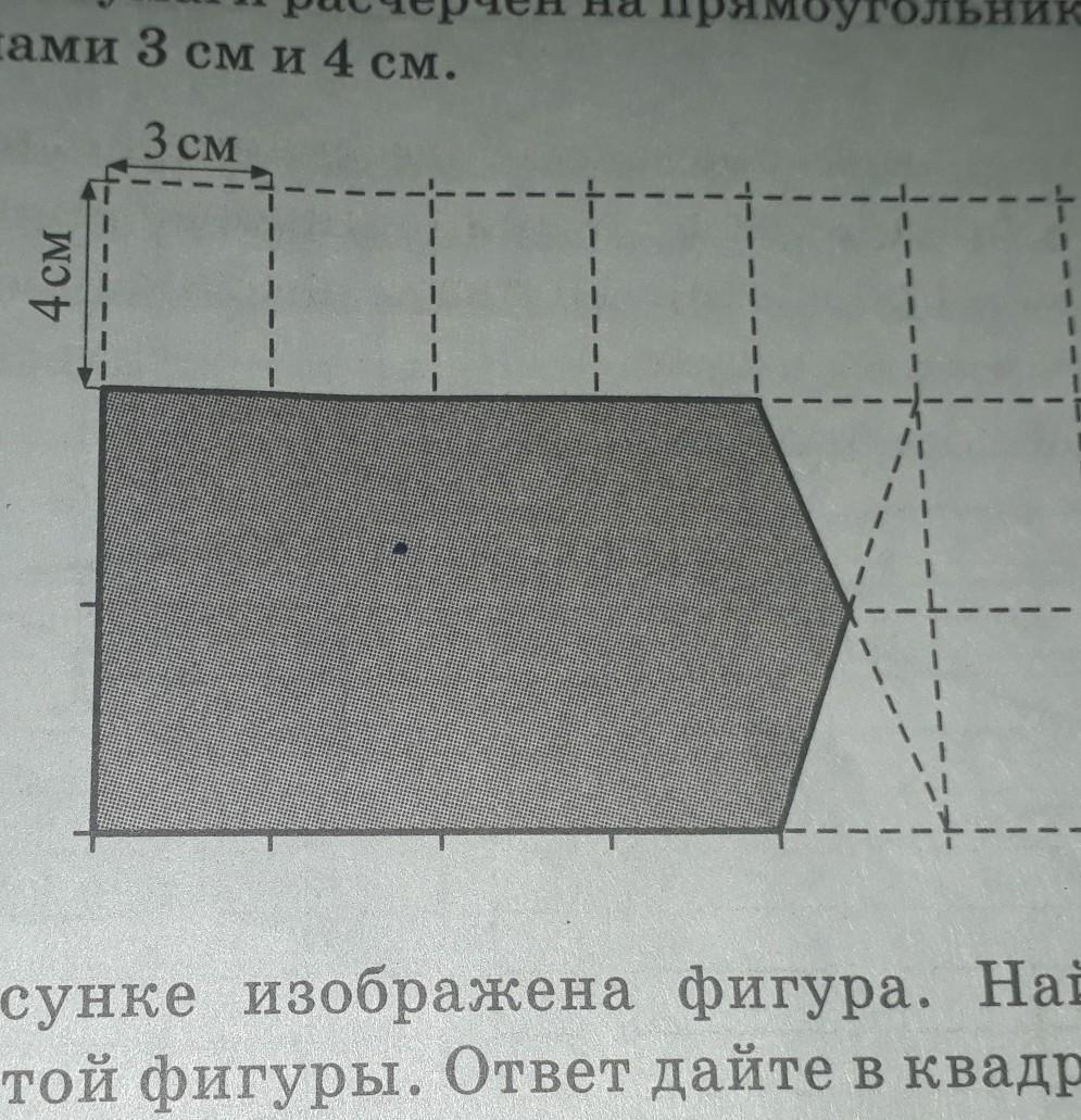 Лист бумаги расчерчен на прямоугольнике. Лист бумаги расчерчен на прямоугольники со сторонами 3 см и 4 см. Лист бумаги расчерчен на прямоугольники со сторонами 4 см. Лист расчерчен на прямоугольники со сторонами. Бумага расчерчена на прямоугольники.