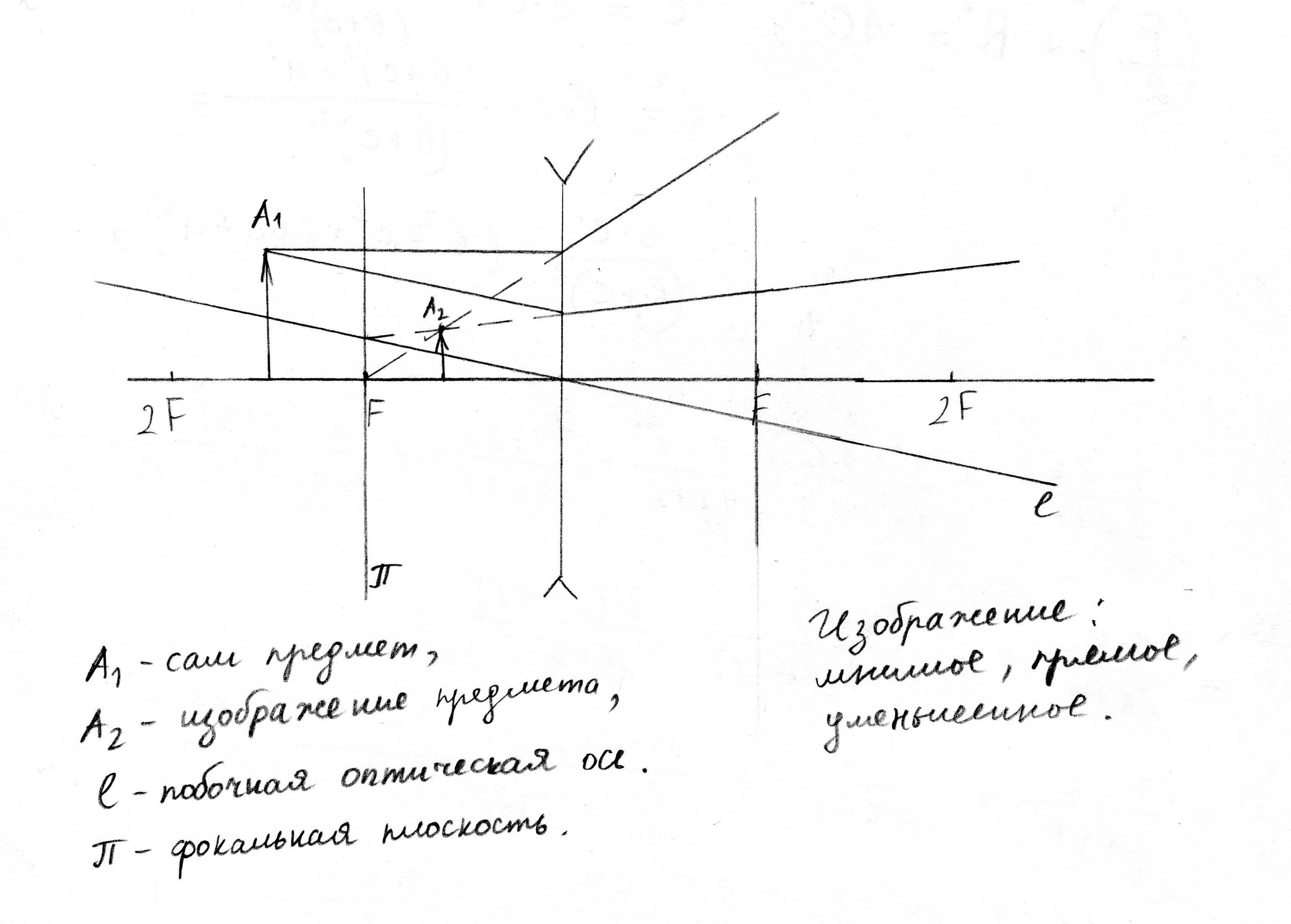 Построить изображение рассеивающей линзы если предмет находится между линзой и фокусом