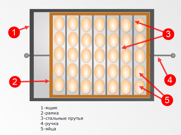 Сколько в день переворачивать яйца. Переворачивать яйца в инкубаторе. Решетка для инкубатора. Переворот яиц в инкубаторе вручную. Схема поворота яиц в инкубаторе.