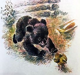 Сибиряк "Медведко"­, кто главные герои, какая главная мысль?