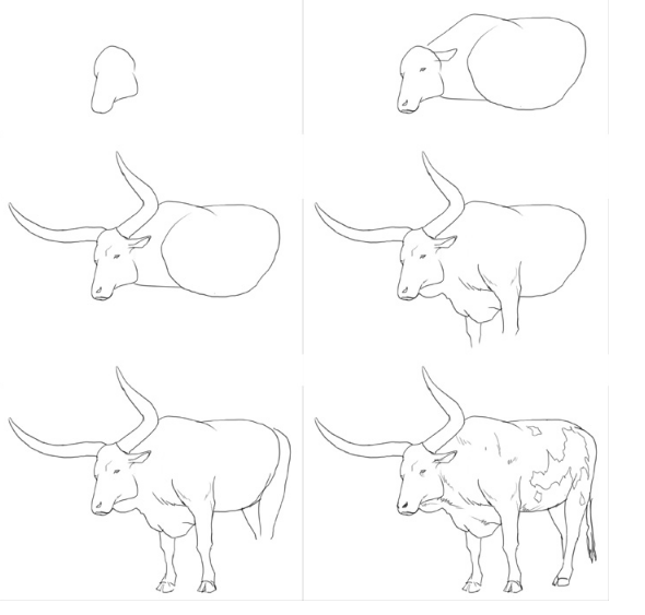 рисунок с быком поэтапно