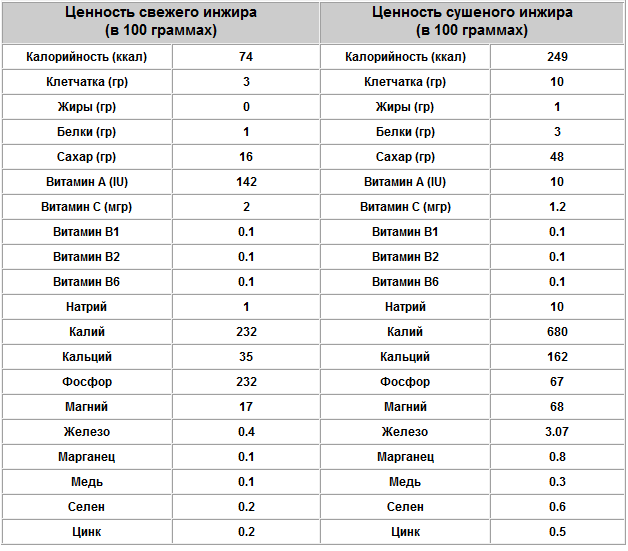 текст при наведении