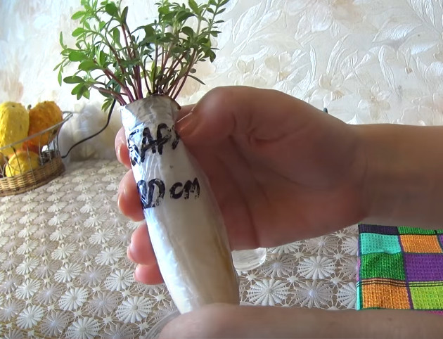 видео по выращиванию рассады компактно без земли в самокрутках