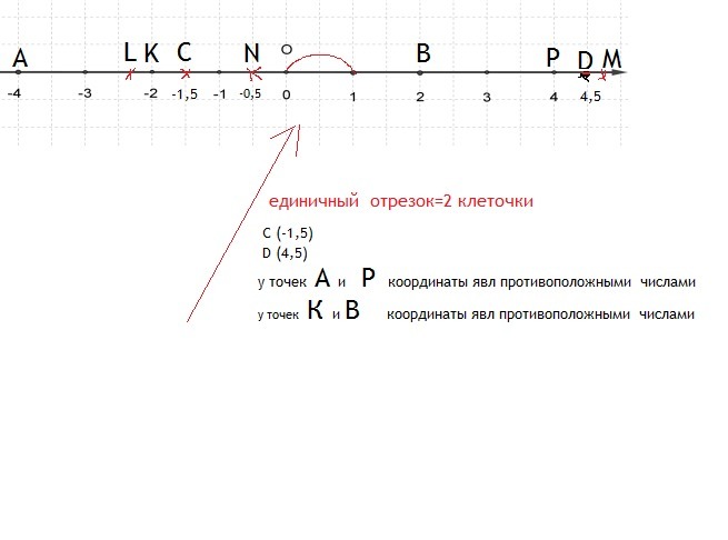 Отметьте на координаты прямой точки. Единичный отрезок на координатной прямой. Координатная прямая с единичным отрезком. Координаты с единичным отрезком равным. Начало отсчета и координатную прямую.