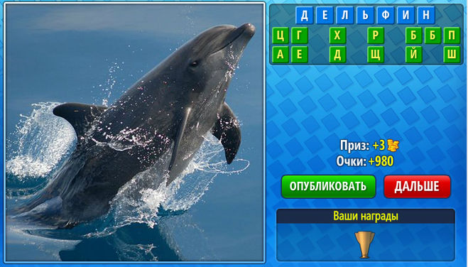 перемещайка дельфин