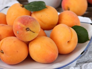 Срок годности и срок хранения абрикосов.